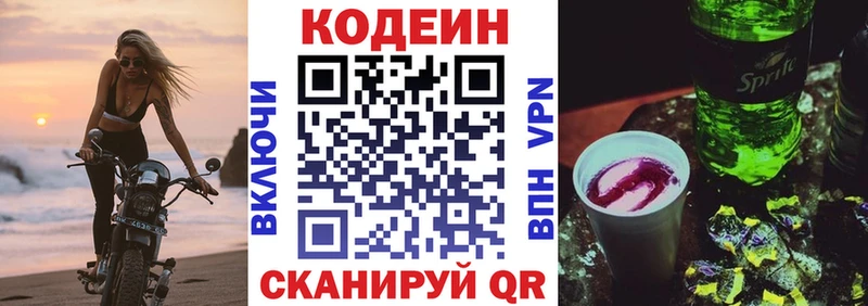 МЕГА маркетплейс  продажа наркотиков  Елизово  Кодеиновый сироп Lean Purple Drank 