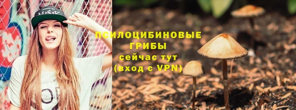 гашик Вязьма