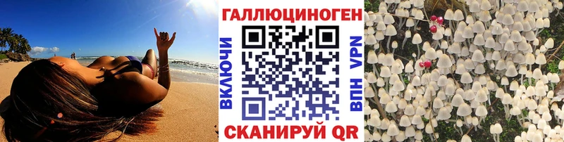 Псилоцибиновые грибы GOLDEN TEACHER  Елизово 