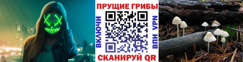 Галлюциногенные грибы GOLDEN TEACHER Елизово