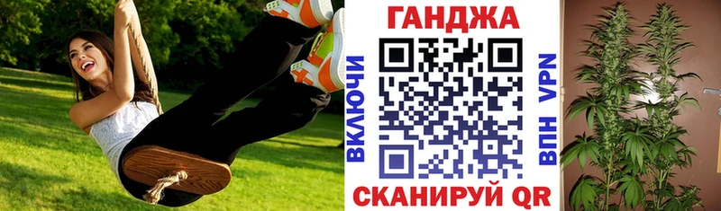 купить наркоту  гидра ссылка  Каннабис ГИДРОПОН  Елизово 